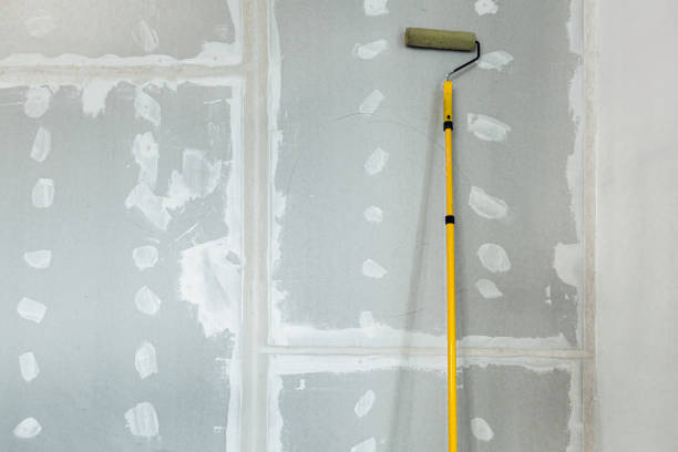  Fox River Grove, IL Drywall & Painting Services Pros